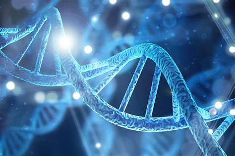 Image result for Genetics Algorithm Define