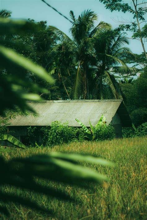 1.000.000+ Foto Wallpaper For Natural Terbaik · Unduh Gratis 100% · Foto Stok Pexels