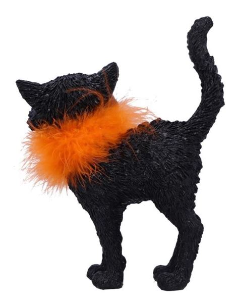 Zwarte Kat Wonder ZWARTE IBIS – IF I CAN'T DANCE