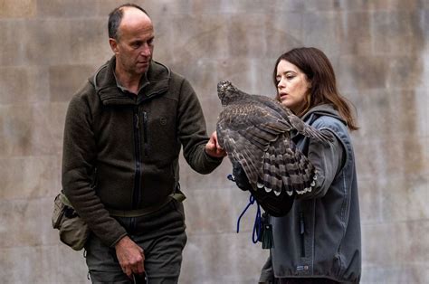 In pictures: The Crown star Claire Foy films H is for Hawk with goshawk on streets of Cambridge