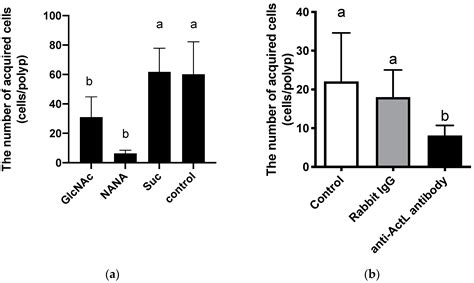 N-Acetyl-d-Glucosamine-Binding Lectin in Acropora tenuis Attracts ...