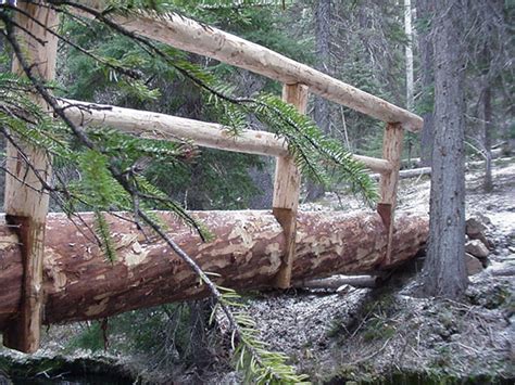 Image result for Homemade Log Bridge