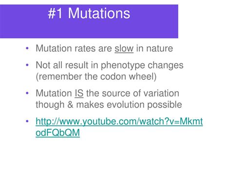 Mutation Evolution Examples 的图像结果