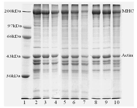 Effect of pH-Shifting Process on the Cathepsin Activity, Muddy Off-Odor ...