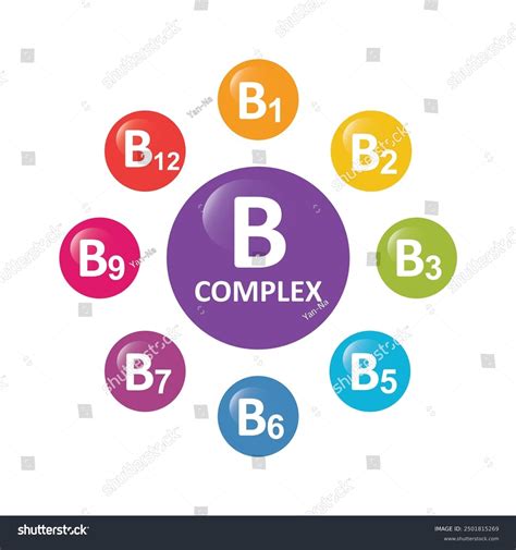 Vitamin B Complex Droplet Chemical Formula Stock Vector (Royalty Free) 2501815269 | Shutterstock