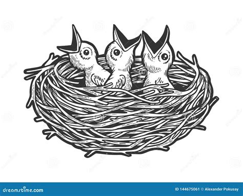 Baby Birds In Nest Drawing