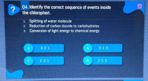 Pls answer this questions fast - Brainly.in