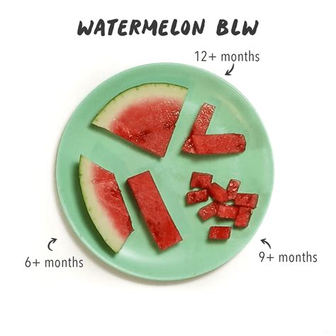 How to Serve Watermelon to Baby | Baby Foode | Recipe | Baby led weaning recipes, Watermelon ...