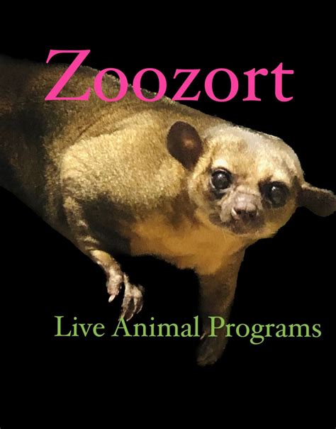 Zoozort in Lodi, Habermann Park, Lodi, 20 June 2024 | AllEvents.in