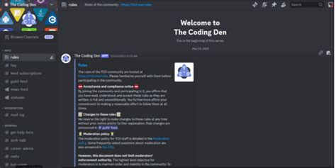 Image result for Programmer Discord Mod