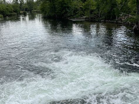 CHIPOLA RIVER ADVENTURES (2026) All You Need to Know BEFORE You Go ...