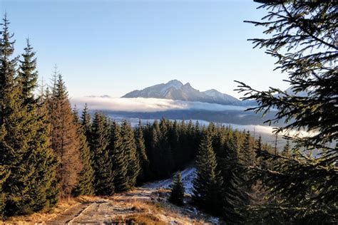 Simple weather & clock widget