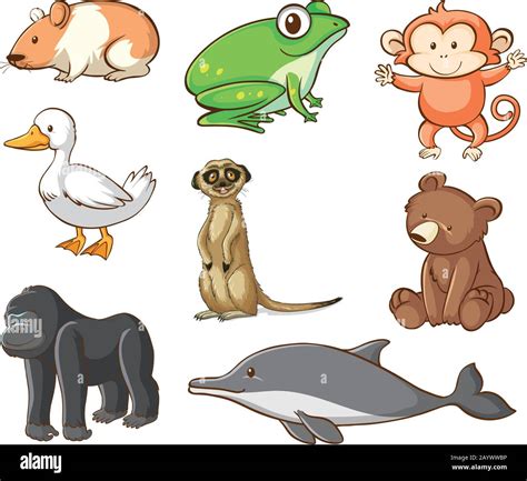 Large set of wildlife with many types of land and water animals ...