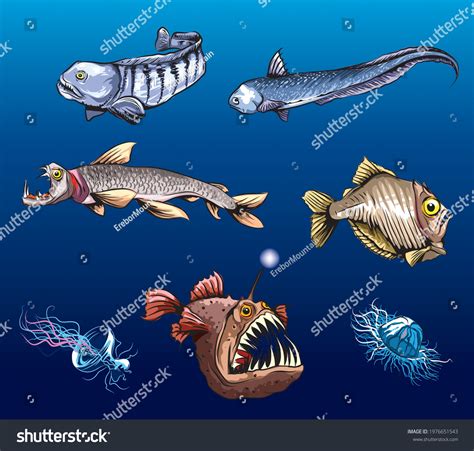 Epipelagic Zone Animals