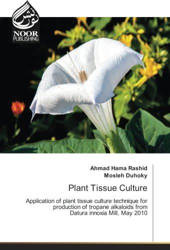 Plant Tissue Culture Application Of Plant Tissue Culture Technique ...