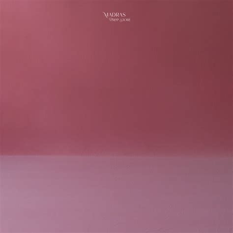 Plain Jersey Seamless Backdrop | 320 x 148 cm | Flamingo Pink – Madras ...