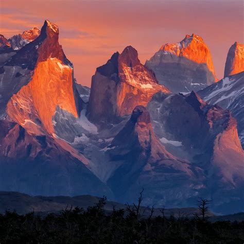 NOMADE PATAGONIA NATALES, EXCURSIONES Y TRANSPORTE (2025) All You Need ...