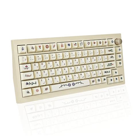 JOLINTAL 135 Keys Beige Manuscript Keycaps, PBT Voynich India | Ubuy