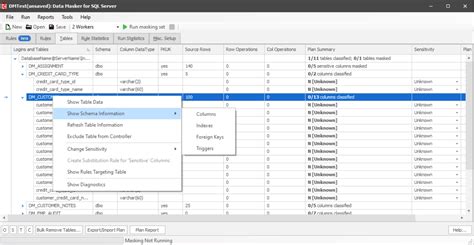 How to Mask Data in SQL Server 的图像结果