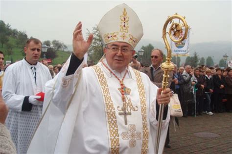 Cardinal Vinko Puljić: Synodal Way’s ‘exotic ideas’ alien to a Church ...
