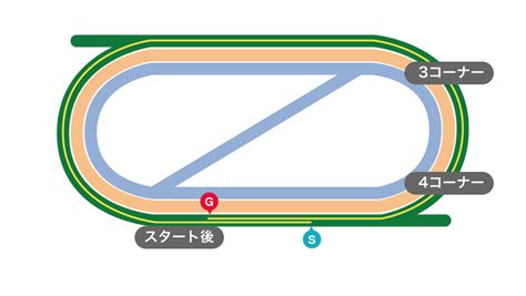3歳以上1勝クラス 競馬新聞 | 2024年7月6日 8R レース情報(JRA) - netkeiba.com