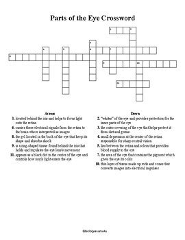 Parts of the Eye Labeling Worksheet, Crossword and Word Search | TPT