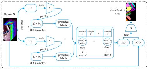 Ensemble Network-Based Distillation for Hyperspectral Image ...
