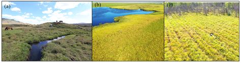 Characteristics of Changes in Typical Mountain Wetlands in the Middle ...