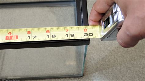 10 Gallon Aquarium: Dimensions, Size, Setup Ideas, Kit Tips