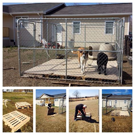 Wood Floor Dog Kennel – Flooring Ideas