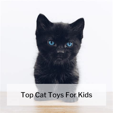 8 Top Cat Toys For Kids That Make Sense 2025