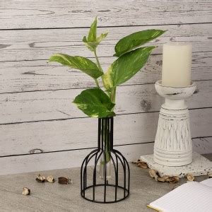 THE DECOR MART Wire Cage Metal Plant Container Set Price in India - Buy ...