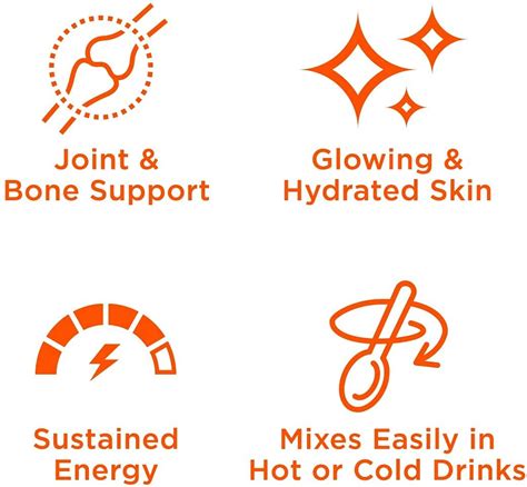 Buy Chocolate Collagen Protein Powder With MCT Oil, 19g Protein, 14.3 ...