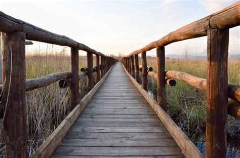 Free Images : nature, boardwalk, wood, walkway, reeds, infinite, wooden bridge, truss bridge ...