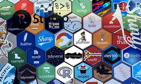 R Programming Software 的图像结果