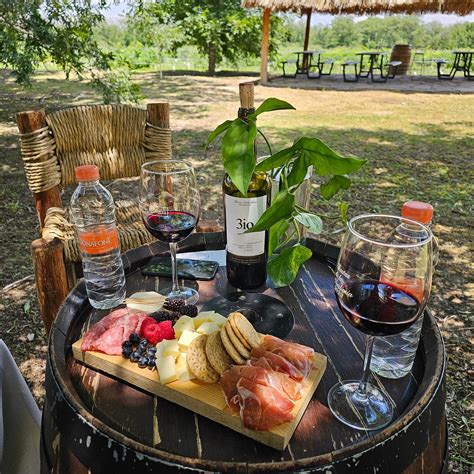 VINICOLA HACIENDA DEL MARQUÉS (2025) All You Need to Know BEFORE You Go ...