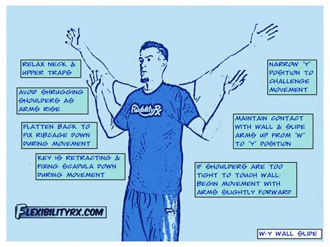 Shoulder Mobility Exercises: Scapular Wall Slides | FlexibilityRx ...
