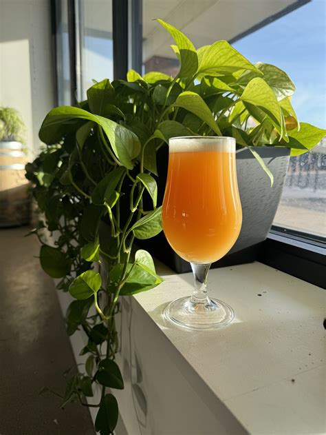 Our Beer | Craft Beer in St. Paul | Wandering Leaf Brewing Company ...