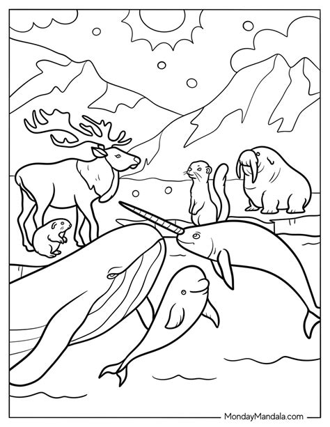 Coloring Sheets Arctic Animals