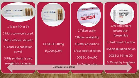 Loop Diuretics How They Work 的图像结果