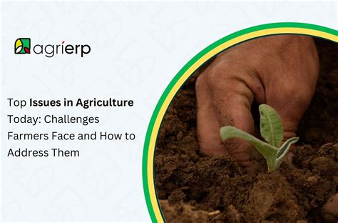 Why Is Agriculture Important: Benefits and Its Role Explained