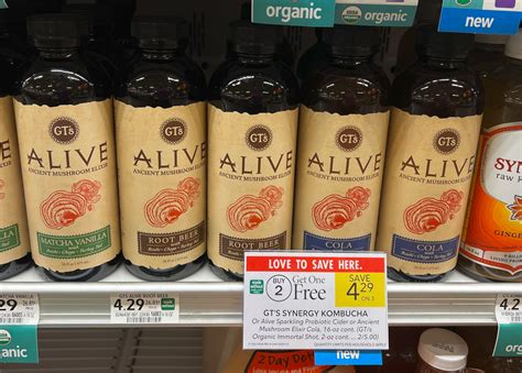 GT’s Alive Ancient Mushroom Elixir Just $2.36 At Publix – Almost Half ...