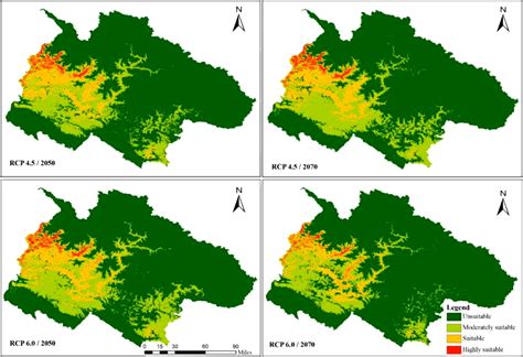 Frontiers | Projected distribution of the westernmost subpopulation of Assamese macaques (Macaca ...