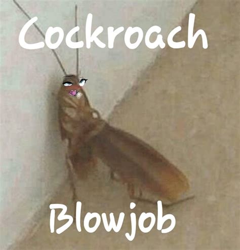 Cockroach Meme Invasion 的图像结果