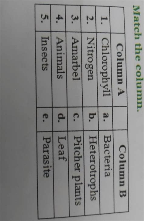 please answer this match the columnplease answer match the column ...