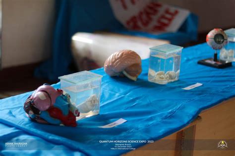 “Quantum Horizons” Science Expo 2023 and School Open Day - Hilburn ...