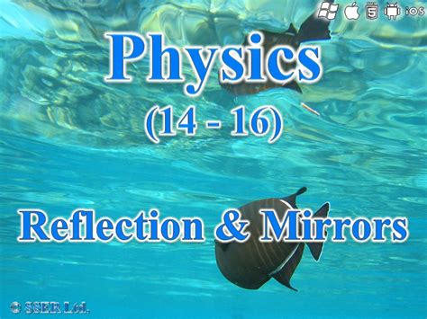 Reflection 的图像结果