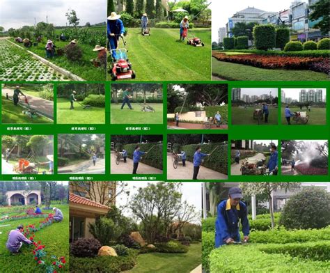 上海绿化养护_松江绿化养护公司-上海茸薇园艺有限公司