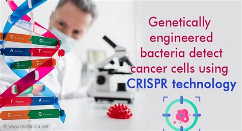 Biotechnology Using Bacteria 的图像结果