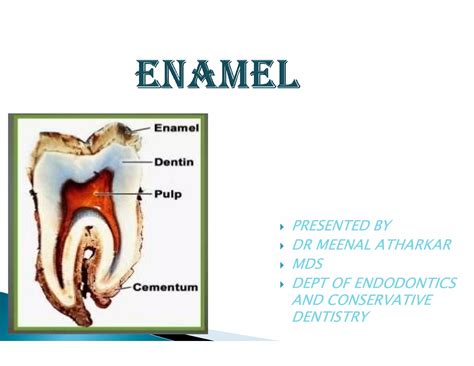 Enamel | PPT